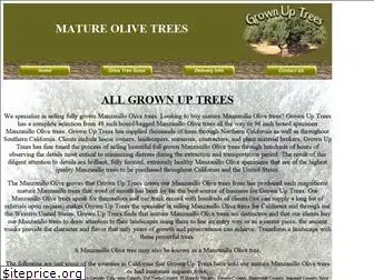 grownuptrees.com