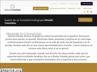 grupohinodecolombia.net