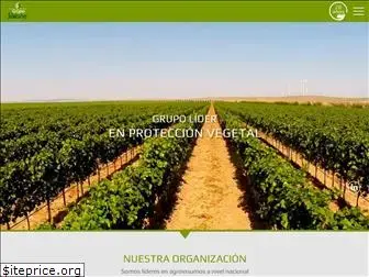 gruposilvestre.com.pe