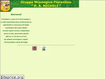 gruppomicheli.it