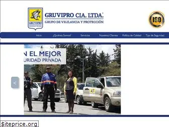 gruvipro.com