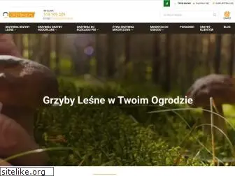 grzybywogrodzie.pl