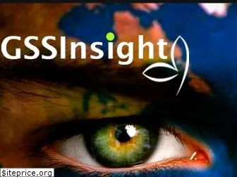 gssinsight.com