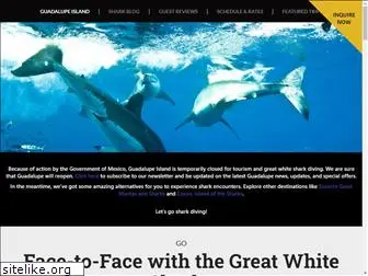 guadalupegreatwhitesharks.com