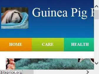 guineapigfun.com