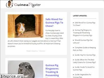 guineapigster.com