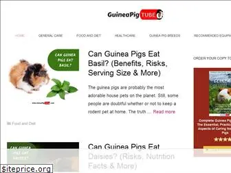 guineapigtube.com