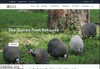 guineas.com