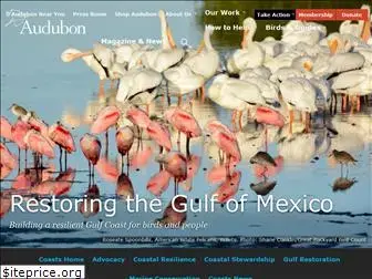 gulfoilspill.audubon.org