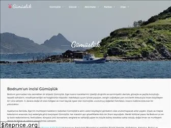 gumusluk.com