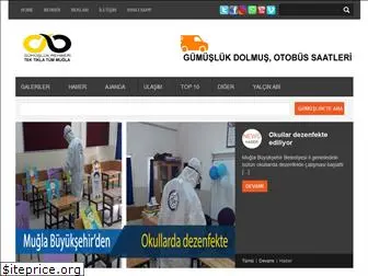 gumuslukrehberi.com