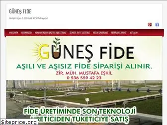gunesfide.com