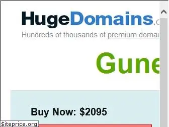 gunestur.com