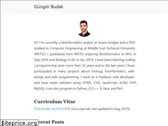 gungorbudak.com