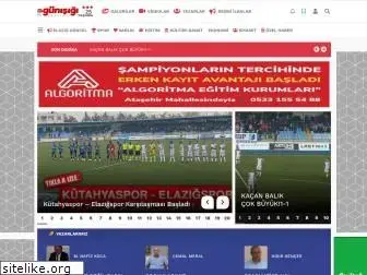 gunisigigazetesi.net