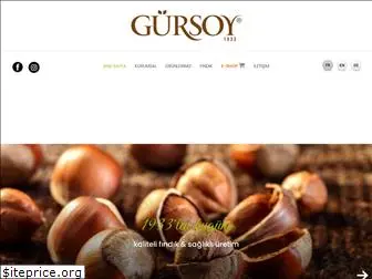 gursoy.com.tr