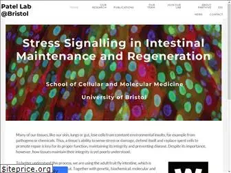 gutstresslab.org