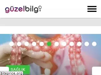guzelbilgi.com
