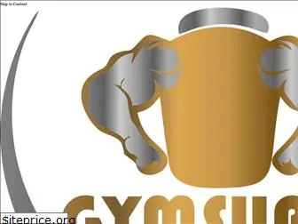 gymsupps.com