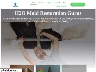 h2omoldrestorationgurus.com