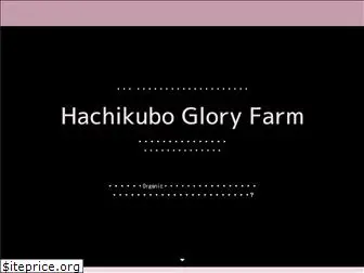 hachikubogloryfarm.com