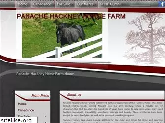 hackney-horse.com
