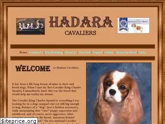 hadaracavaliers.com