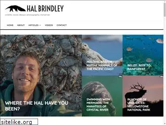 halbrindley.com
