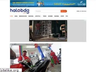 halobdg.com