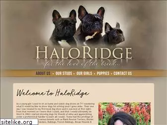 haloridge.com