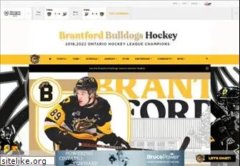 hamiltonbulldogs.com