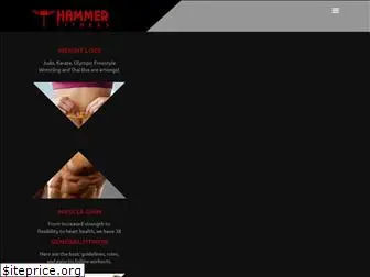 hammerfitness.in