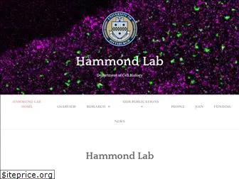 hammondlab.com