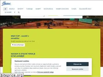 www.hamrsport.cz website price