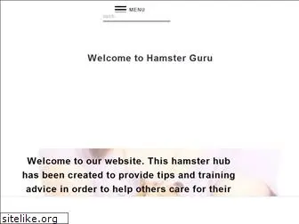 hamsterguru.com