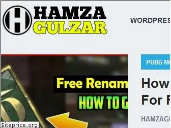 hamzagulzar.com