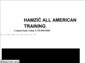 hamzic-allamericantraining.com