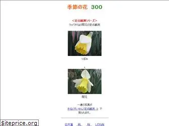 hana300.com