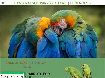 handraisedparrots.company.com