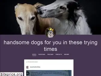 handsomedogs.com