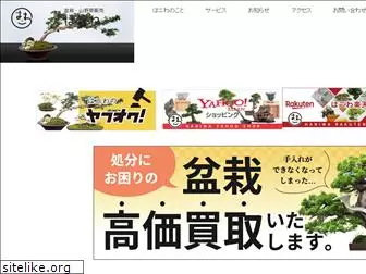 haniwa-bonsai.com