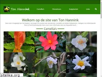 hanninkton.nl