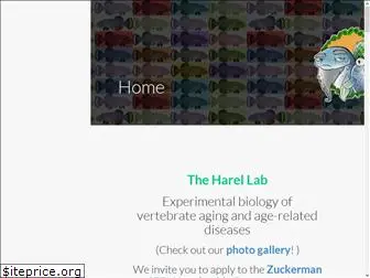 harel-lab.com