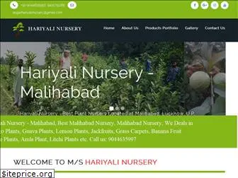 hariyalinursery.com