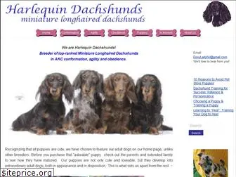 harlequindachshunds.com
