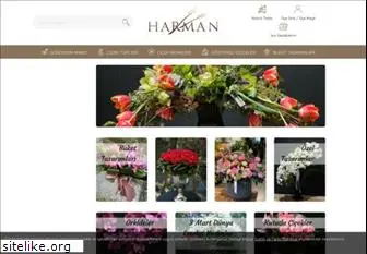 harman.com.tr