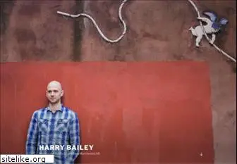 harrybailey.com