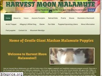 harvestmoonmalamutes.com