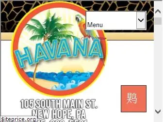 havananewhope.com