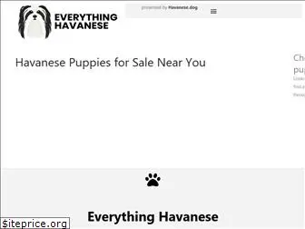 havanese-puppies-for-sale.com
